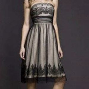 Black mesh nude underlay cocktail dress